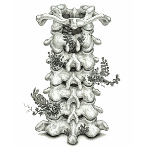 叶子楣露100%奶头无遮挡
